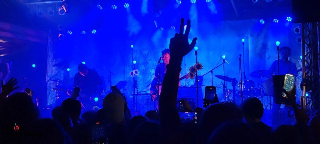 Kispál és a Borz performing live at Kobuci Garden in Budapest, blue stage lights, with audience hands and phones raised in the air.