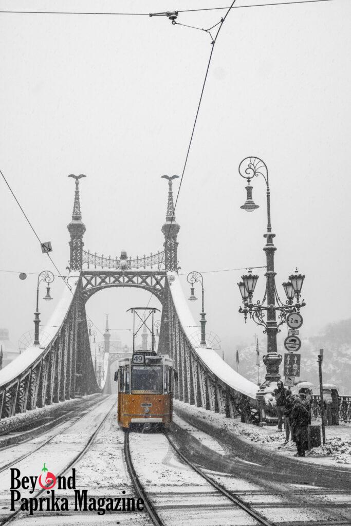 A snowy vertical shot of the Liberty Bridge in Budapest. A classic yellow tram (line 49) is crossing the bridge towards the viewer through heavy snowfall. The ornate green iron structure of the bridge and the vintage lamp posts are covered in white snow, and several people in winter coats are waiting on the sidewalk. The background is misty and white.