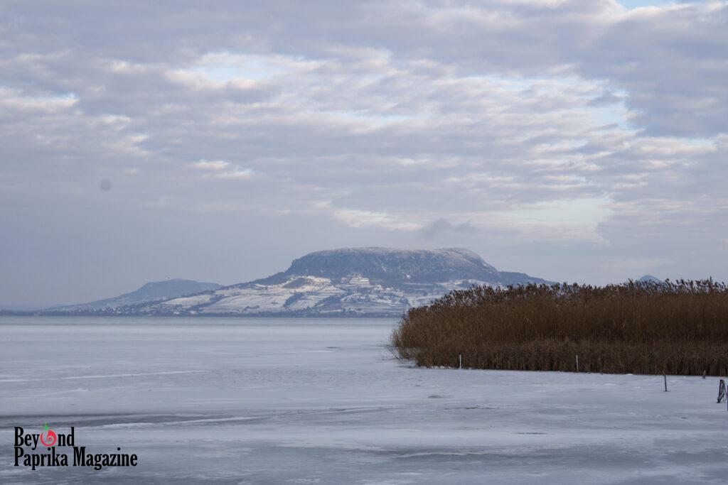 A wide winter landscape view across the frozen, snow-dusted surface of Lake Balaton. In the foreground on the right, a large patch of golden-brown reeds stands. In the distance, the snow-covered, flat-topped Badacsony mountain rises under a cloudy sky with pastel blue and pink tones. The photo was taken from Alsóbélatelep in January.